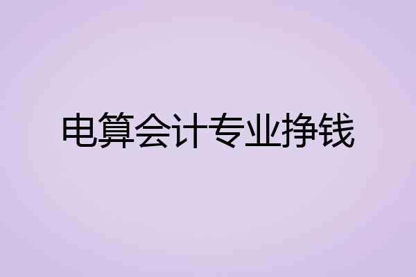 电算会计专业挣钱