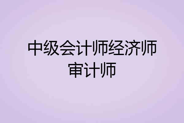 中级会计师经济师审计师