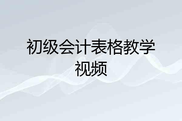初级会计表格教学视频