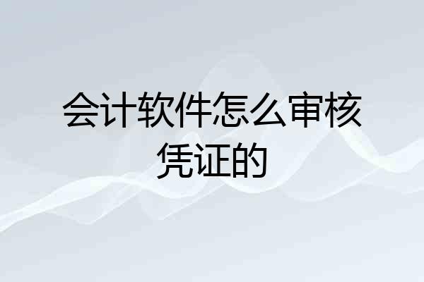 会计软件怎么审核凭证的