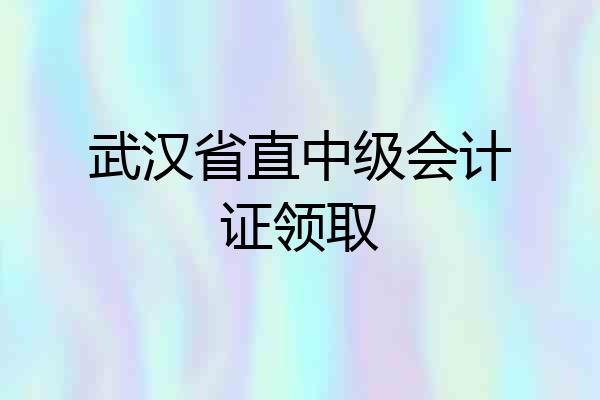 武汉省直中级会计证领取