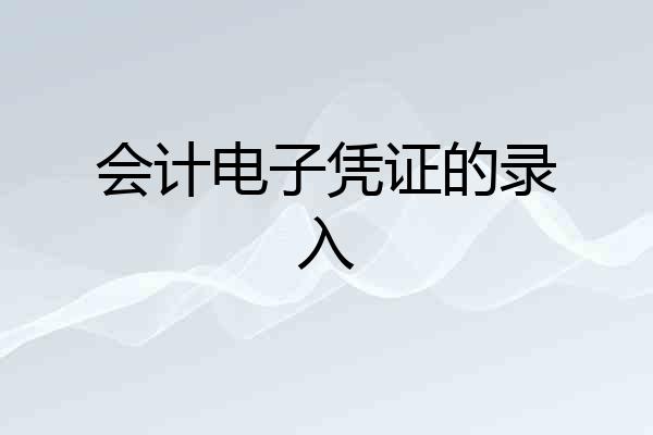 会计电子凭证的录入