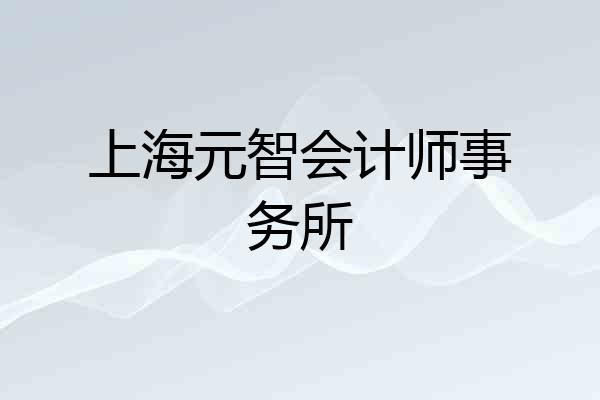上海元智会计师事务所