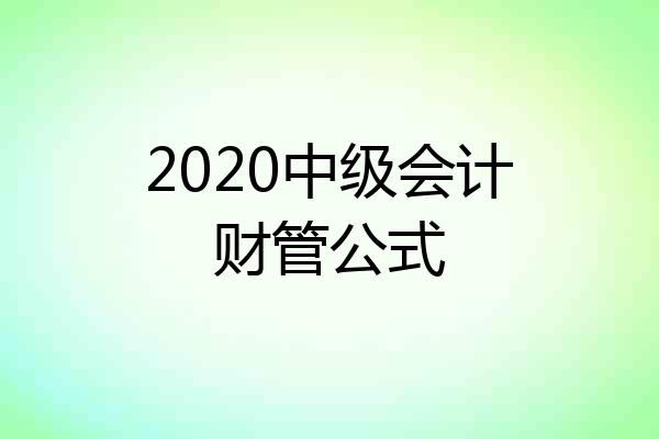 2020中级会计财管公式