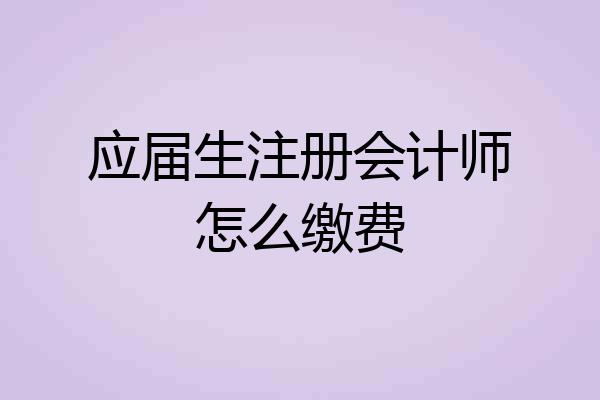 应届生注册会计师怎么缴费
