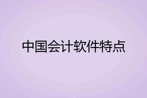 中国会计软件特点
