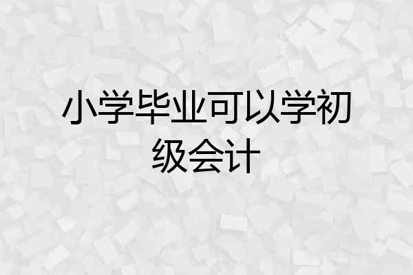 小学毕业可以学初级会计