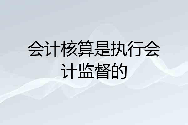 会计核算是执行会计监督的