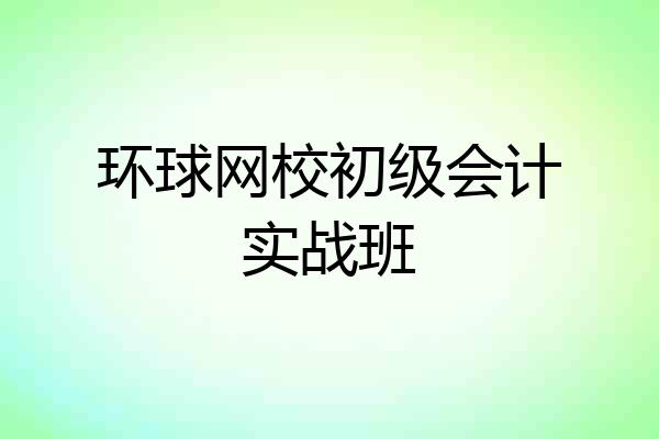 环球网校初级会计实战班