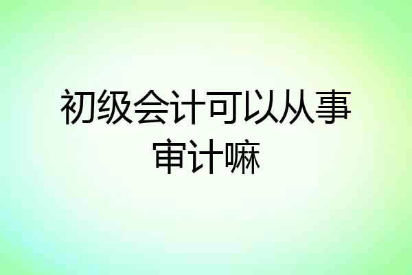 初级会计可以从事审计嘛