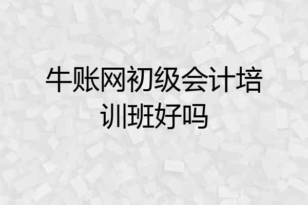 牛账网初级会计培训班好吗
