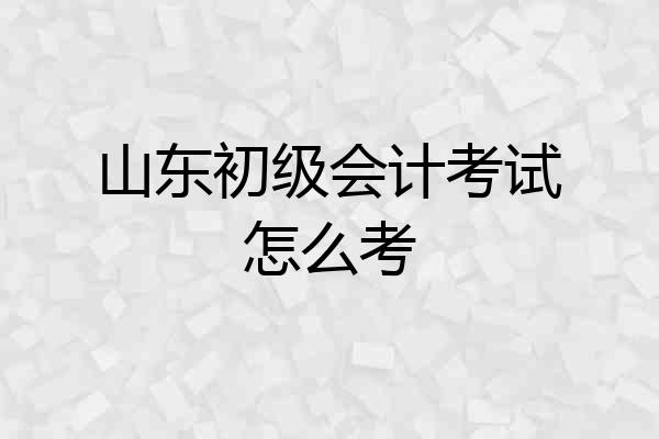 山东初级会计考试怎么考