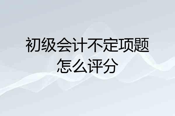 初级会计不定项题怎么评分