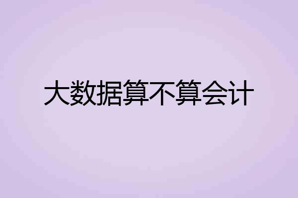 大数据算不算会计