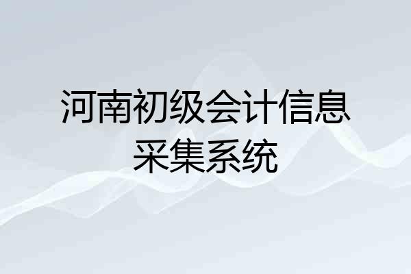 河南初级会计信息采集系统