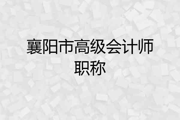 襄阳市高级会计师职称
