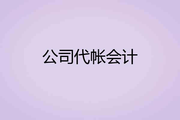 公司代帐会计