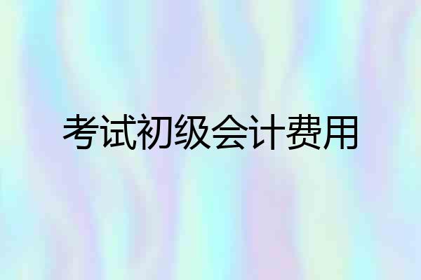 考试初级会计费用
