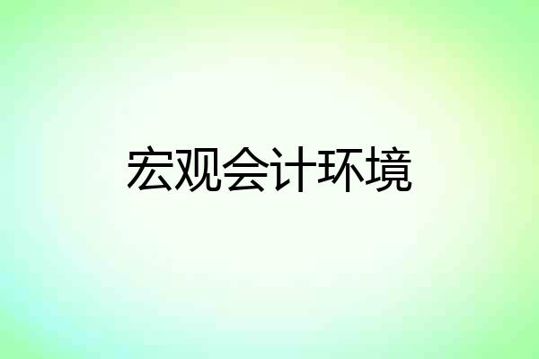 宏观会计环境