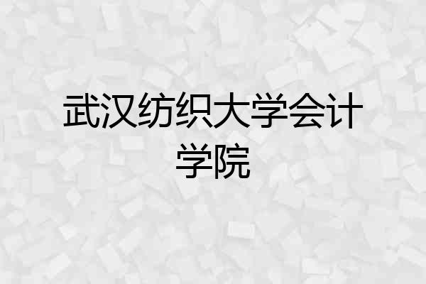 武汉纺织大学会计学院