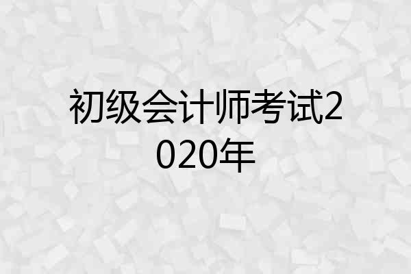 初级会计师考试2020年