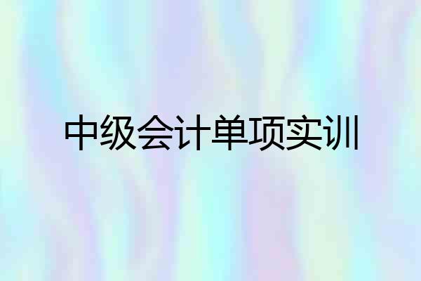 中级会计单项实训