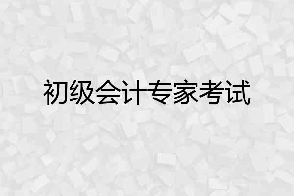 初级会计专家考试