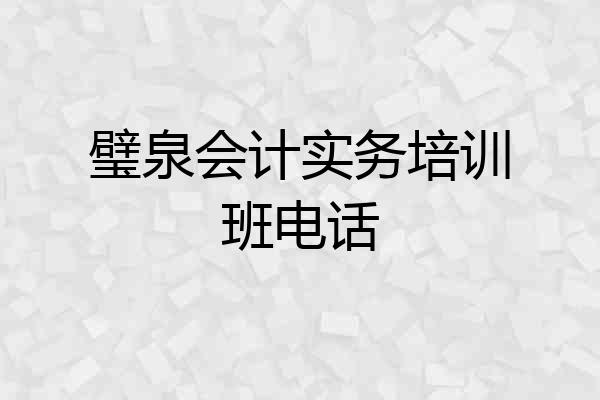 璧泉会计实务培训班电话