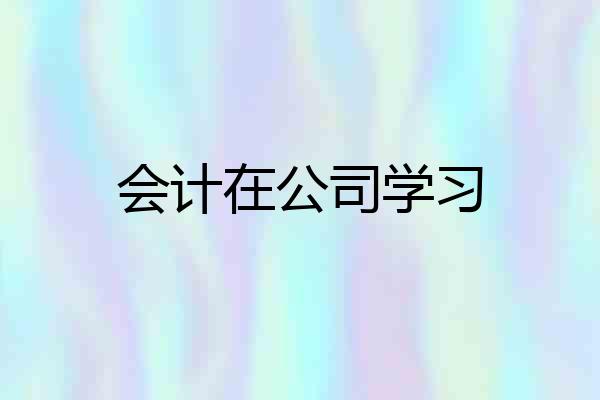 会计在公司学习