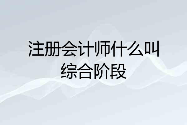 注册会计师什么叫综合阶段