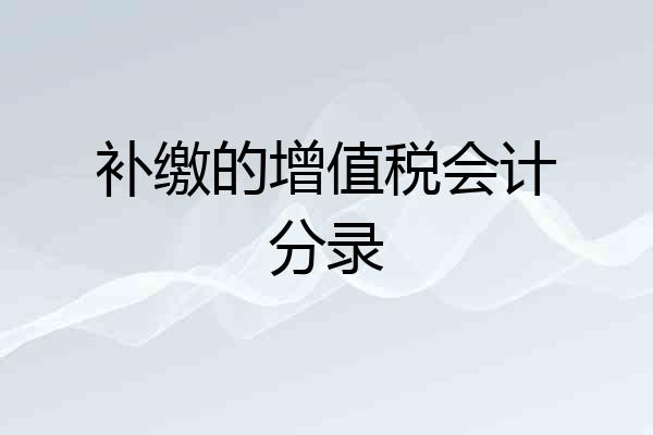 补缴的增值税会计分录