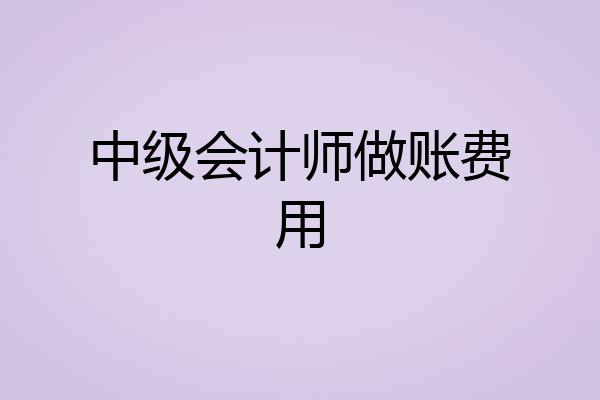 中级会计师做账费用