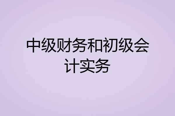 中级财务和初级会计实务