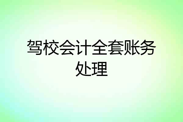 驾校会计全套账务处理