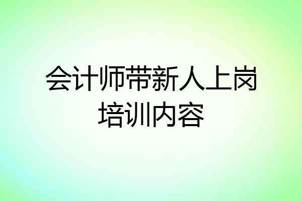 会计师带新人上岗培训内容
