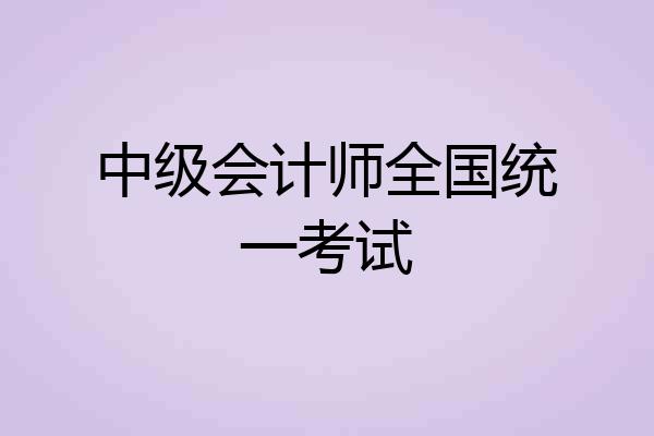 中级会计师全国统一考试