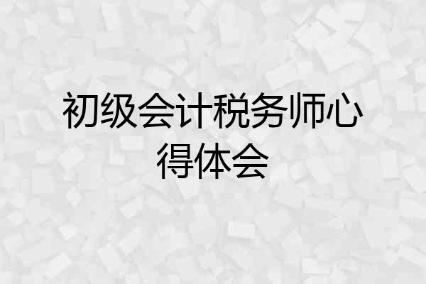 初级会计税务师心得体会