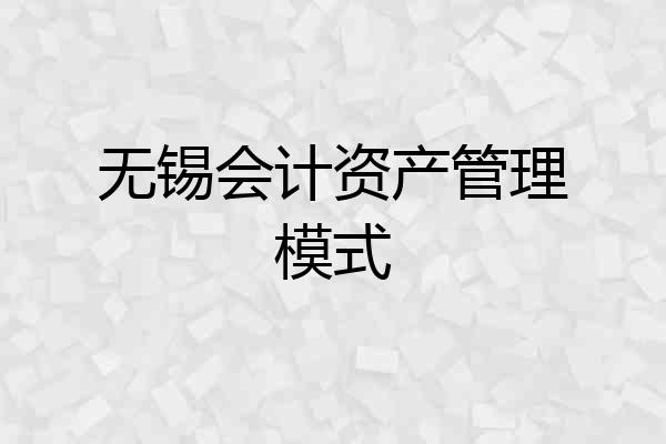 无锡会计资产管理模式