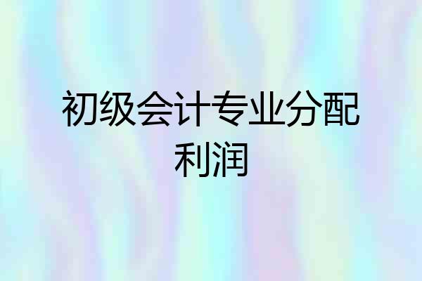 初级会计专业分配利润