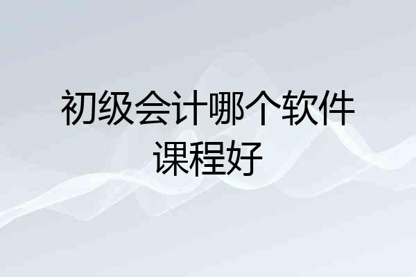 初级会计哪个软件课程好