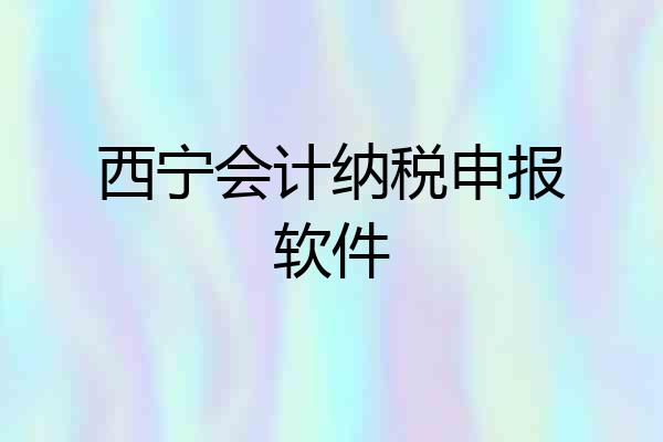 西宁会计纳税申报软件