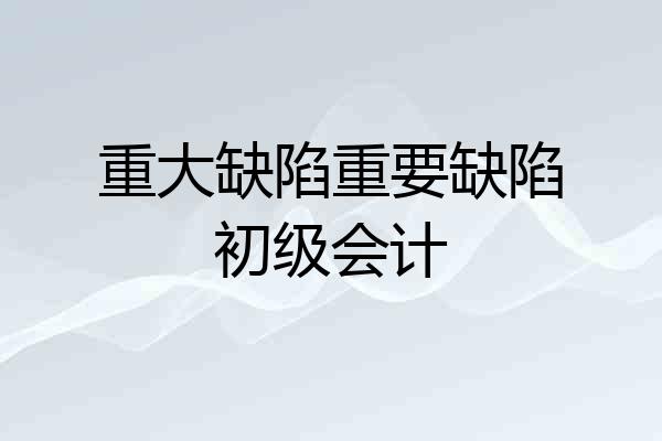 重大缺陷重要缺陷初级会计
