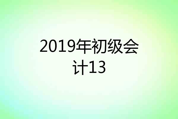 2019年初级会计13