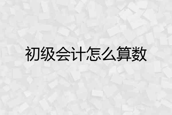 初级会计怎么算数