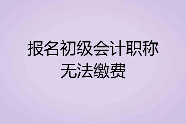 报名初级会计职称无法缴费