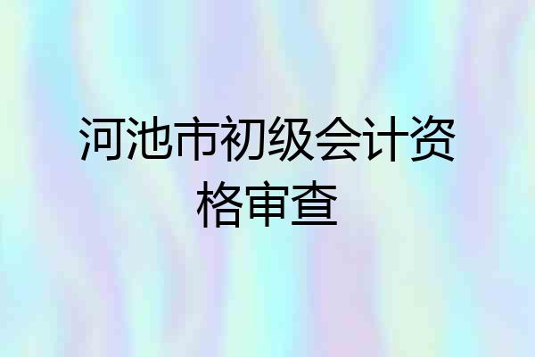 河池市初级会计资格审查