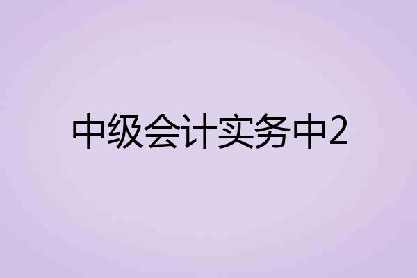 中级会计实务中2