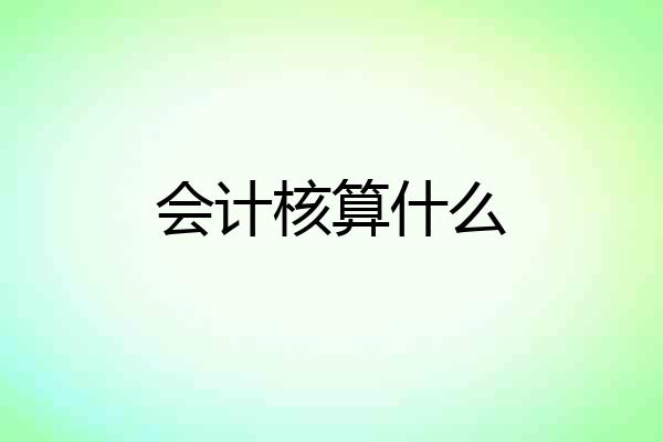 会计核算什么