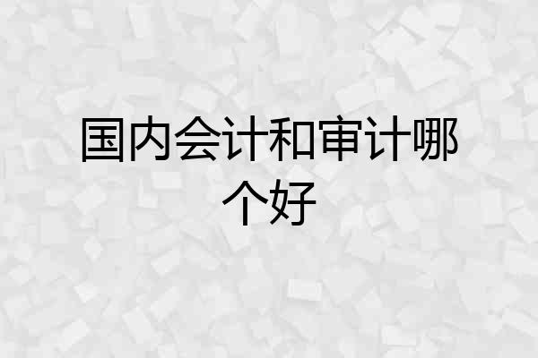 国内会计和审计哪个好