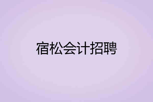 宿松会计招聘